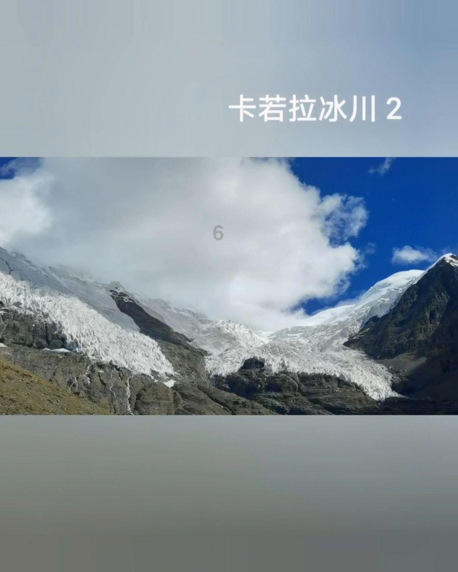 格里芬执教雄鹿43场后下课