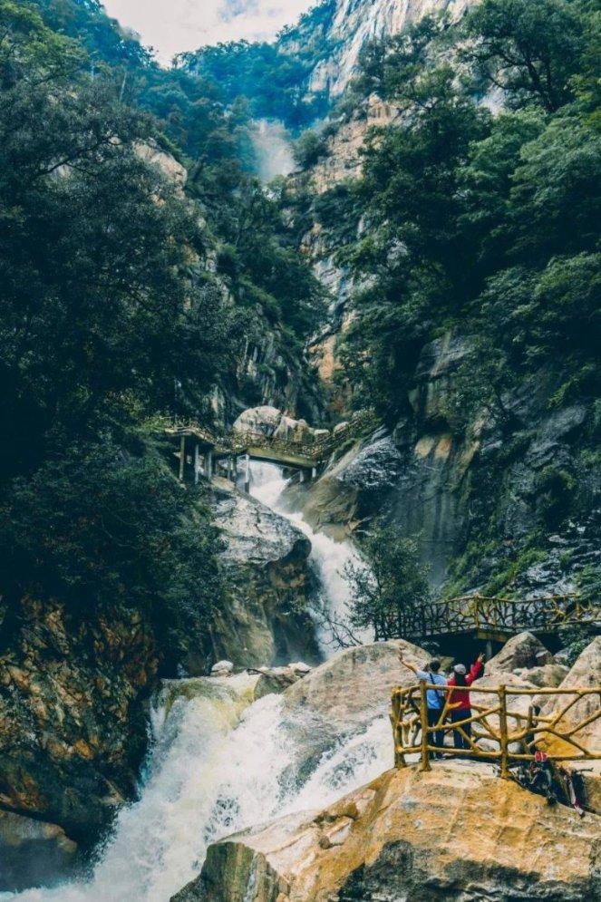寻找奈良树花