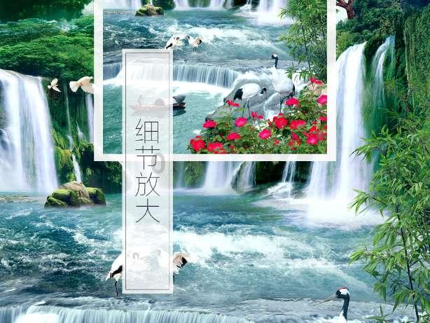 可怜猫的救援